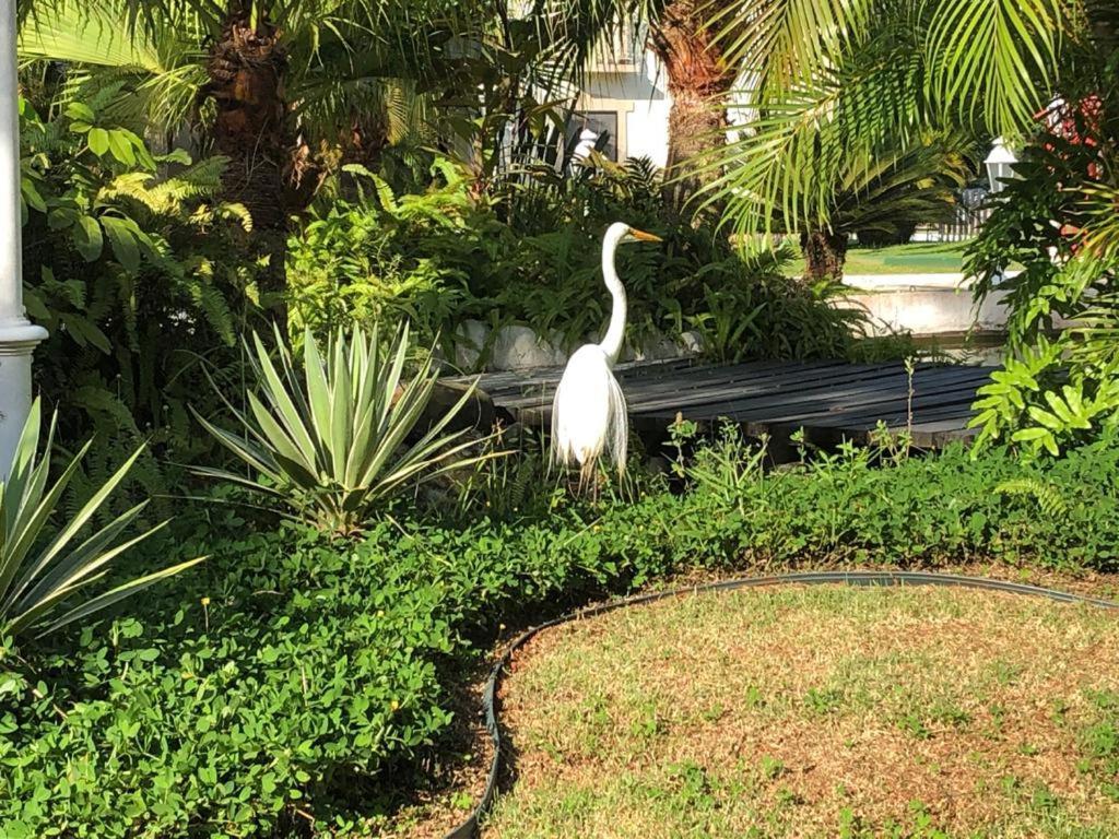 Apartamento Wembley Tenis - Toninhas -